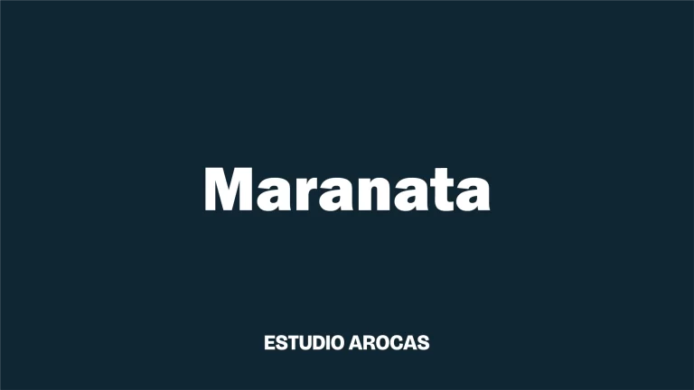 imagen maranata company aroca estudio
